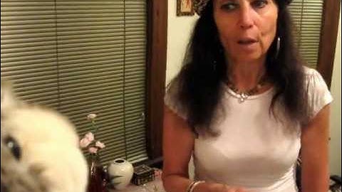 Positive Classroom Discipline: Using Responsive Classroom to develop Rules