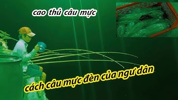 trải nghiệm || cách câu mực của ngư dân || phú quốc TV