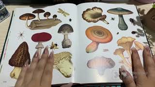 My new vintage//The Botanist’s sticker book//flip through with me//Asmr