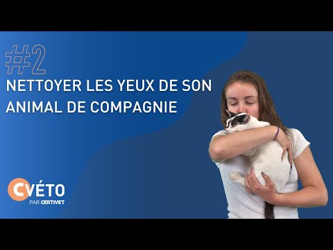 NETTOYER LES YEUX DE SON ANIMAL DE COMPAGNIE