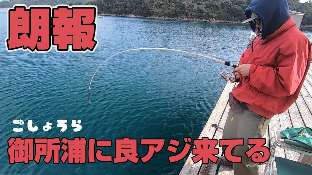 【かかり釣り】２年ぶりに良型マアジが釣れ出した【清福丸】