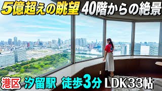 【高資産価値の立地＆眺望！】東京ツインパークス40階・角住戸【東京不動産ルームツアー】
