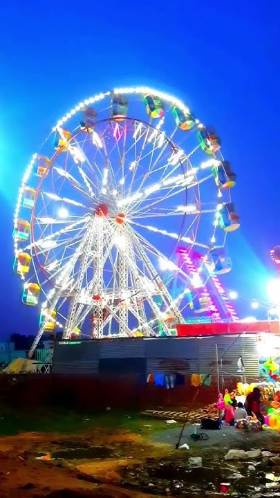 Tsunami jhula video
