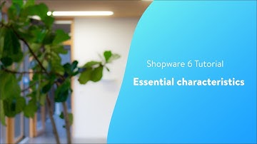 Essential characteristics (Shopware 6 Tutorial EN)