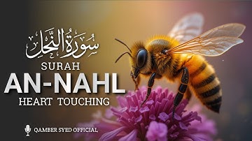 Surah An Nahl (سورة النحل) Relaxing Heart Touching Marvelous Quran | Qamber Syed Official