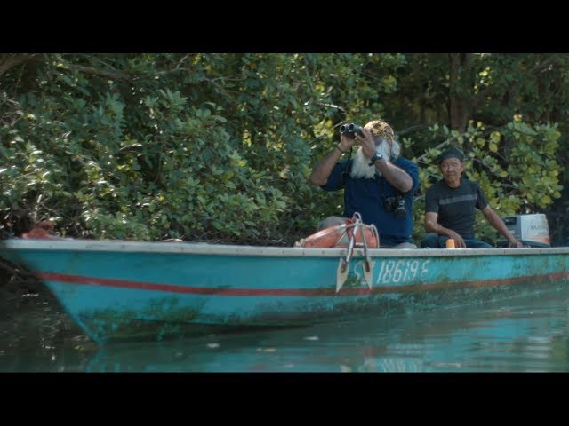 Thumbnail for YouTube video