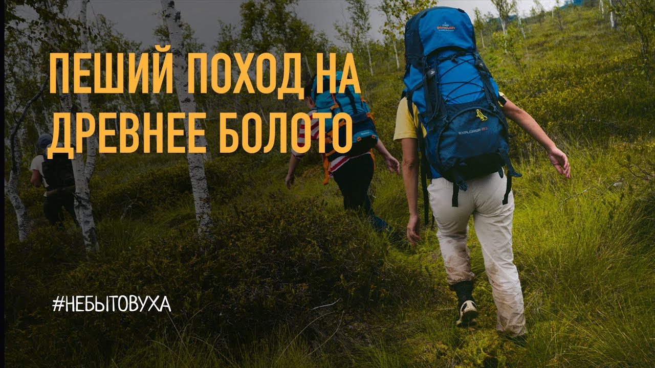 Пеший поход на болото Ельня Беларусь