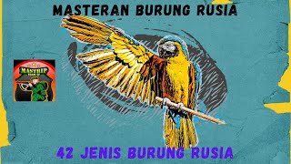 Mastrip Kicau - Masteran Suara Burung Rusia