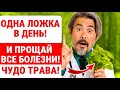 ВАЖНО! ПОЖИЛЫЕ, ЭТОТ ЧАЙ ЛЕЧИТ ВСЁ! 7 ПОЛЕЗНОСТЕЙ ЧАЯ ИЗ БАЗИЛИКА С УТРА!