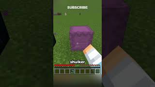 Hidden Item Trick?