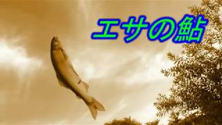 【釣り】川でコーヒーを飲みながら　アユをエサに釣りをしてみた結果