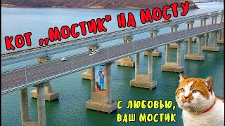 Крымский мост(07.12.2019)Шикарная картина на мосту!Кот Мостик и его друзья!Красота спасёт мир!