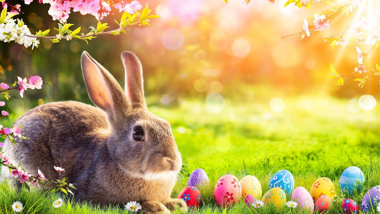 Relaxing Easter Music Easter Bunny Soothing, Peaceful YouTube