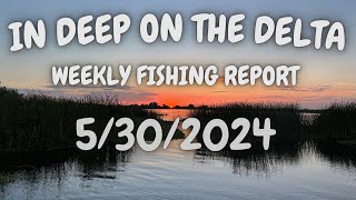 The In Deep On The Delta Weekly Fishing Report For 5/30/2024.