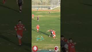 Malesina Stauros Cup Fthiotidas