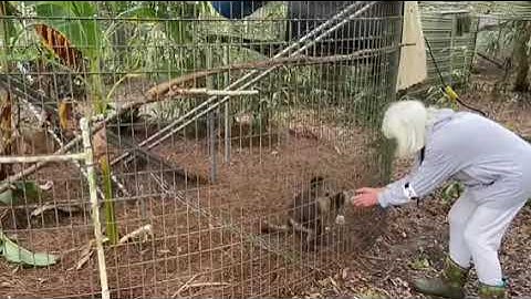 Operant conditioning