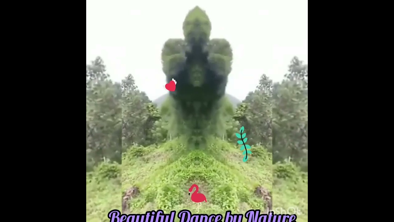 #dancingtree