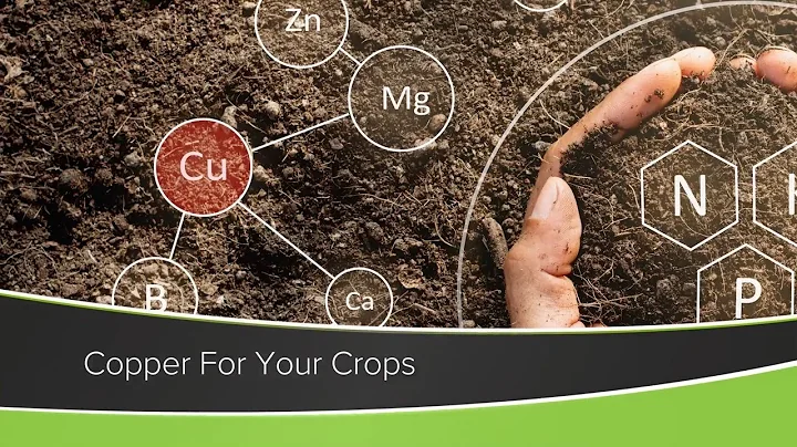 Copper For Your Crops (From Ag PhD Show #1182 - Ai...