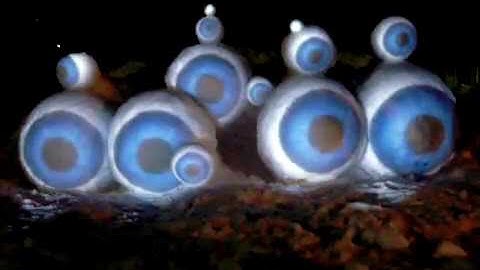 ENESS Interactive Snow Projection