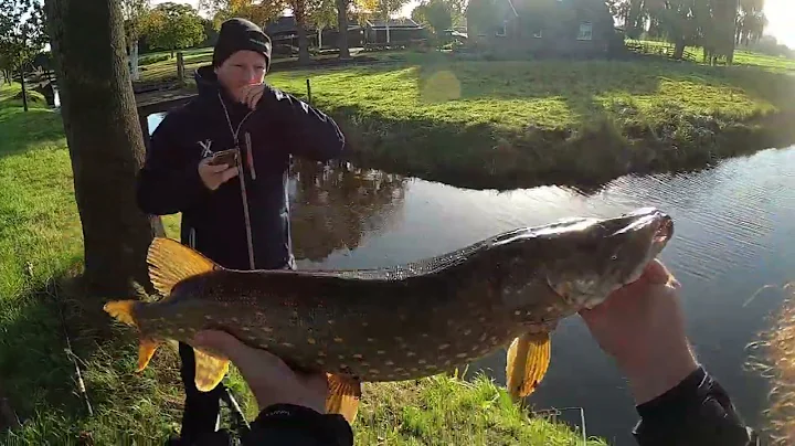 Rigging Ricky the Roach voor ondiepe Polder wateren
