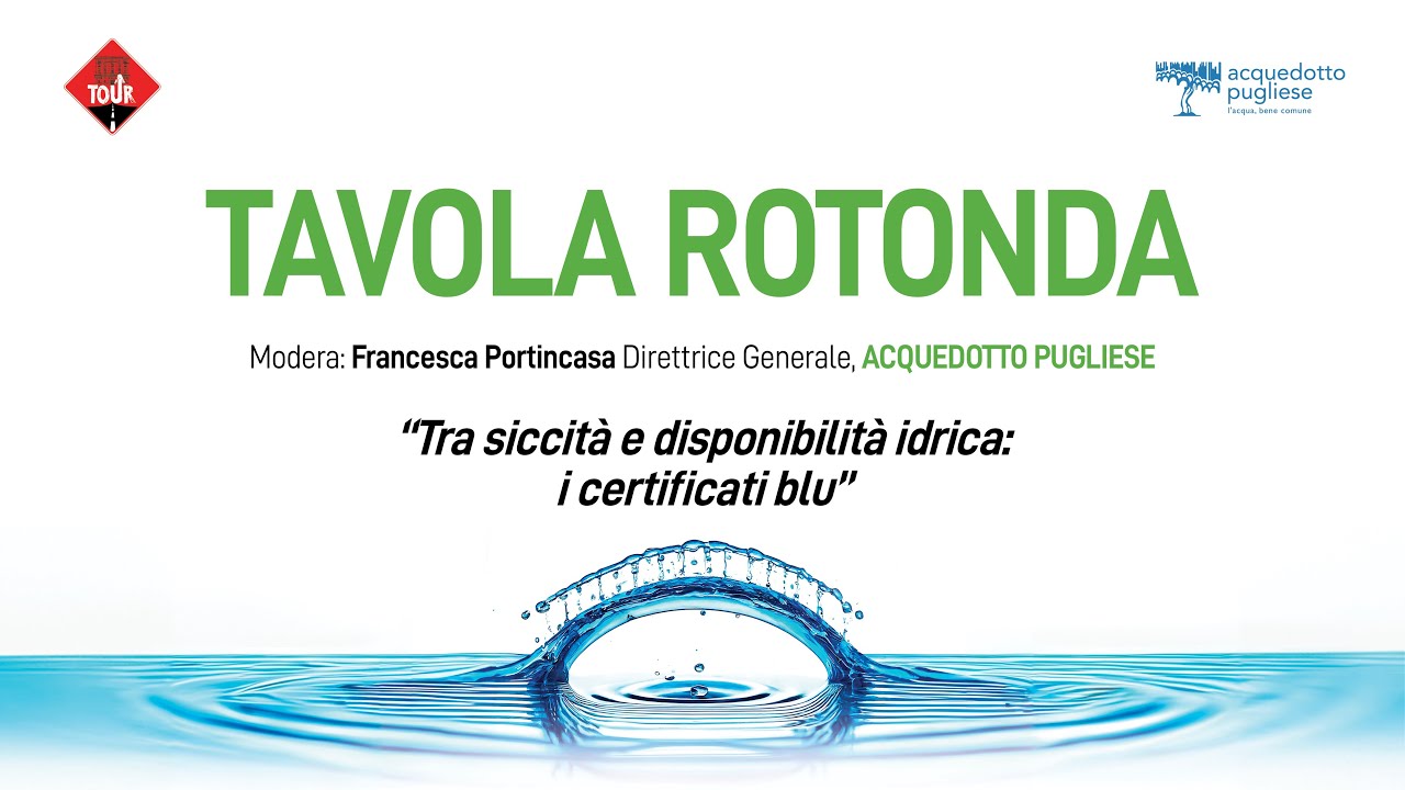 Servizi a Rete TOUR 2024 | Tavola Rotonda - 9 ottobre