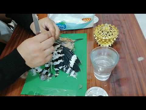 طريقة استخراج عظم الهدهد ومعرفة الاصلي من المزيف ويختم على اسم الشخص المطلوب وعلى الحاجة التي تريدها