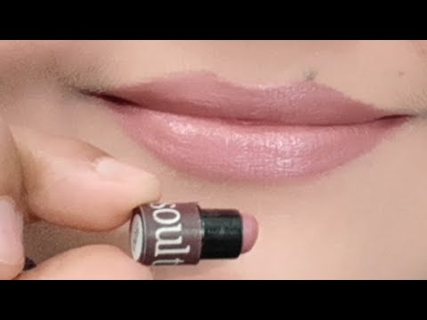 Soultree Ayurvedic lipstick shade 500 review |