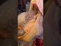 كيفيه فتح بطن عجل بطريقة احترافيه استخراج الكلاوي العفش الكبير بالكامل من العجل البقره الدكر اقوي