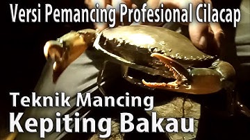 Cara Profesional Mancing Kepiting Bakau | Wajib Diburu Karena Berharga Mahal