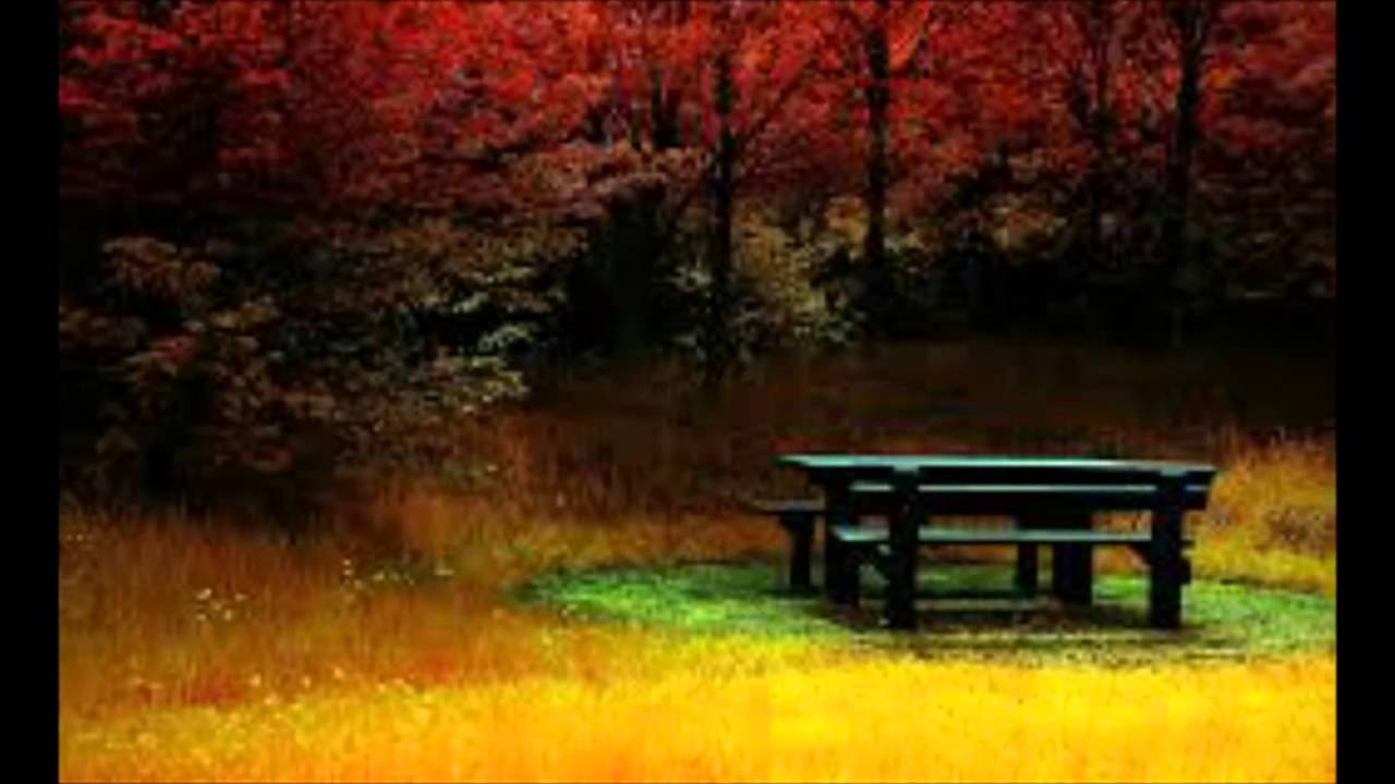 Enchanted World by Jad Mehanna