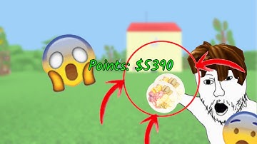 How to get points Fast in Hungry Pig (kinda works)