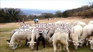 クリスマストレイルラン マザー牧場