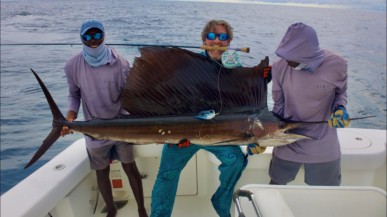 Fly fishing for sailfish. East Africa, Kenya.