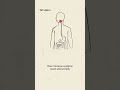 What is celiac disease, and how does gluten affect the body? | Scienticious - Episode