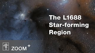 Zooming into the L1688 star-forming region