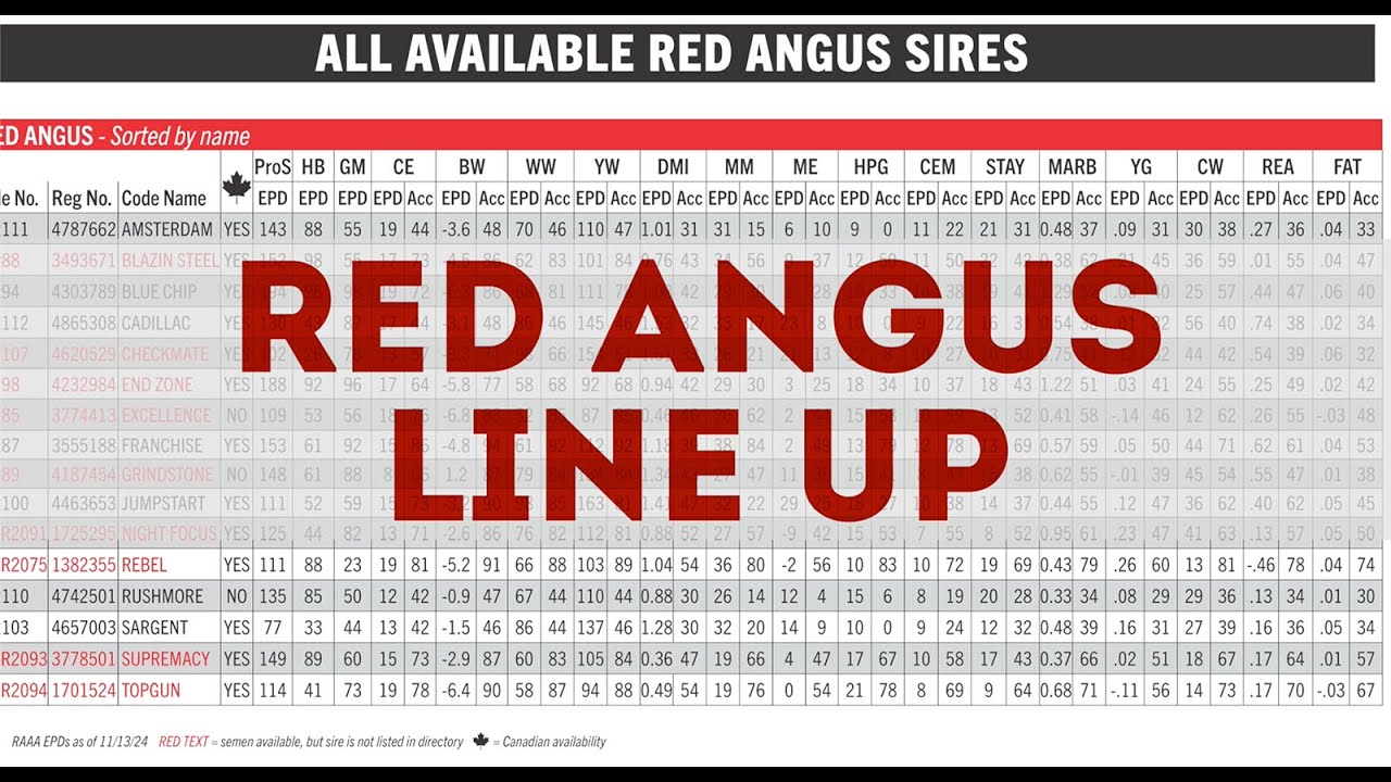 The 2025 Select Series: Red Angus Sires