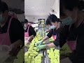 معمل صابون وسرعة العمل