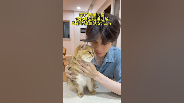 【牛奶是只猫】猫：好险好险哈哈哈哈哈 人很安全 我去跪搓衣板了 #萌宠 #猫咪的迷惑行为