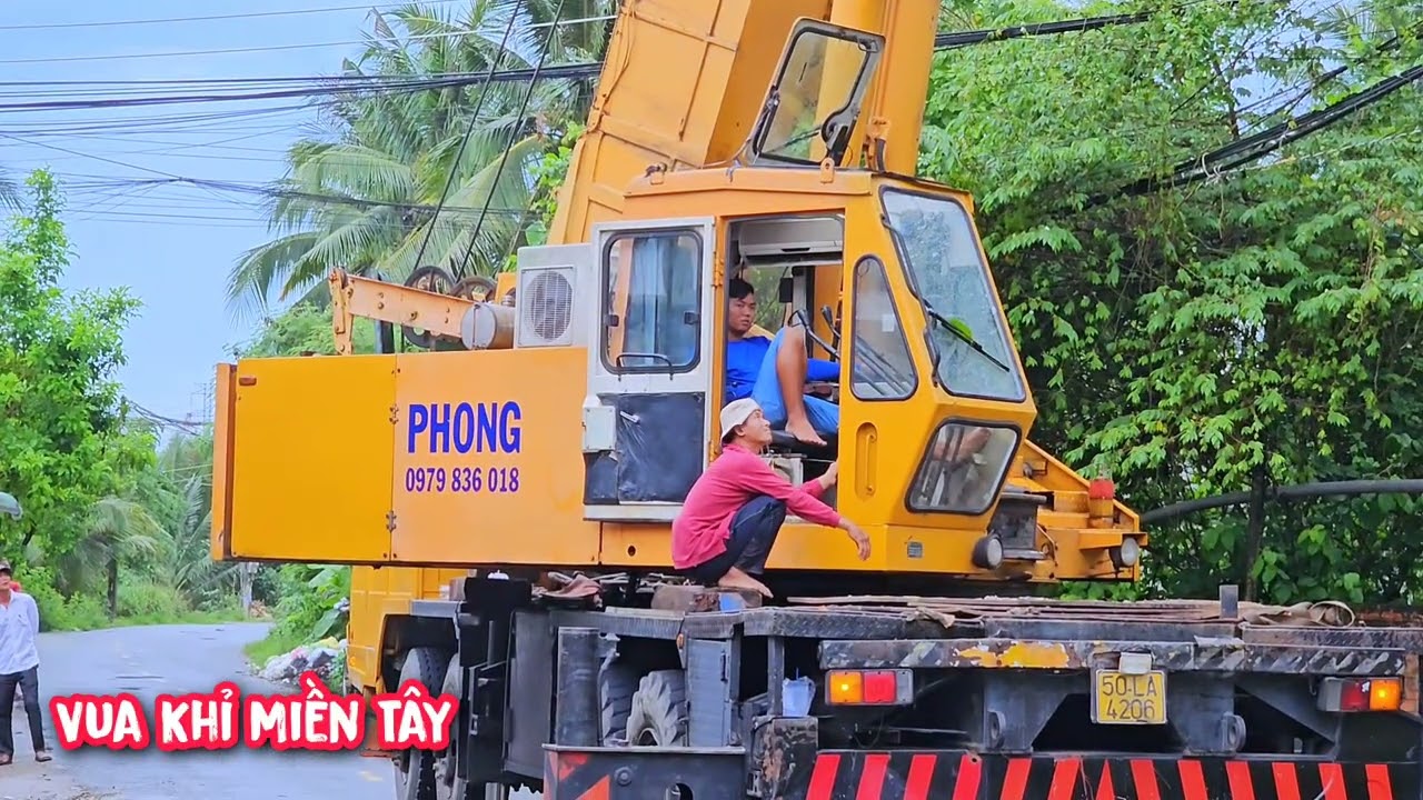 Toát mồ hôi !!! Vua khỉ cùng đệ T.ử cưa hạ cây Sao lớn có xe cẩu, cẩu nguyên thân (2/2).