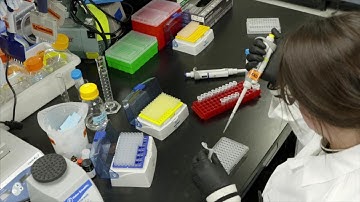 ProteinWorks Automation step by step video