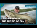 Fishing in the arctic  chasing monsters  nature  adventure documentary