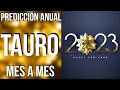 TAURO ♉️ PREDICCIONES PARA EL AÑO 2023 MES A MES #tarot #2023 #horoscopo