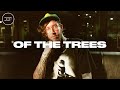 Of the trees live  def underground