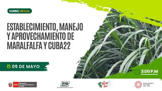 Establecimiento, manejo y aprovechamiento de Maralfalfa y Cuba22