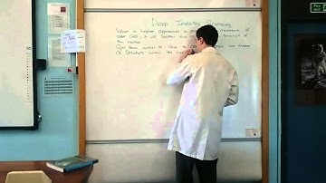 Spin Group 9/2 - Deep Inelastic Scattering: Investigation of Structure within a Nucleon - CERN 2015