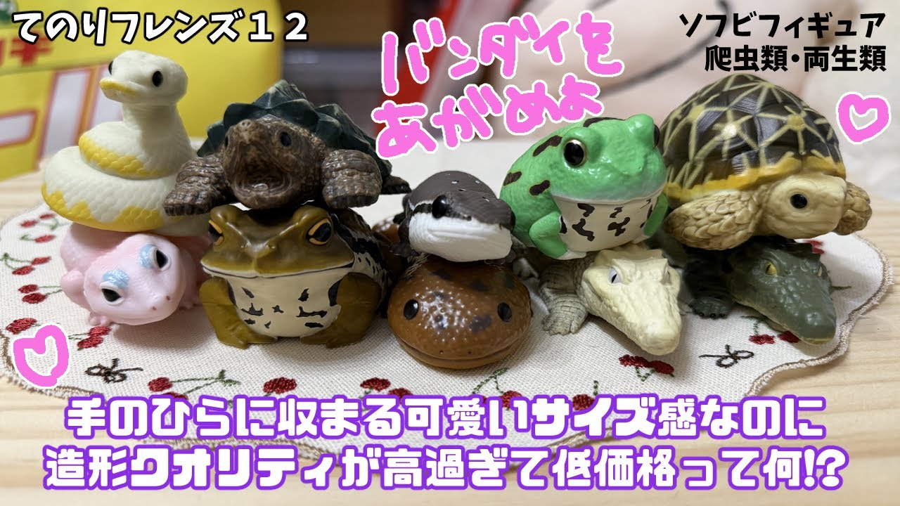爬虫類両生類好き必見！【てのりフレンズ12】を開封、(ほぼ)全種ご紹介