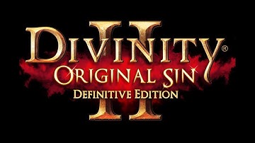 Divinity 2 Original Sin Co op Lone Wolf Hardcore #1