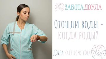 Отошли воды - когда роды?