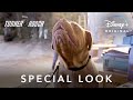 Special Look | Turner & Hooch | Disney+