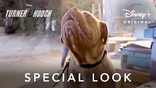 Special Look | Turner & Hooch | Disney+